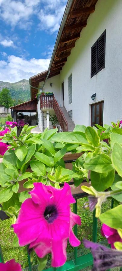 Apartma Pr' Ivani Miskorinovi Breginj Dış mekan fotoğraf