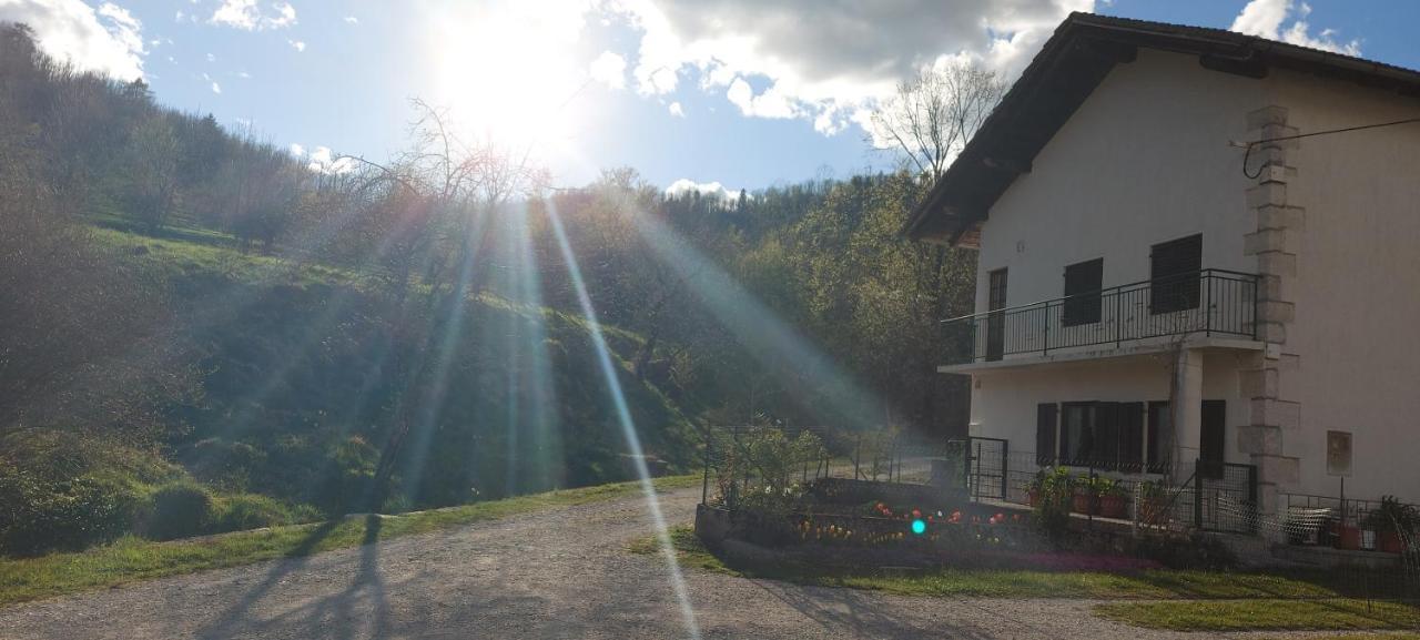 Apartma Pr' Ivani Miskorinovi Breginj Dış mekan fotoğraf