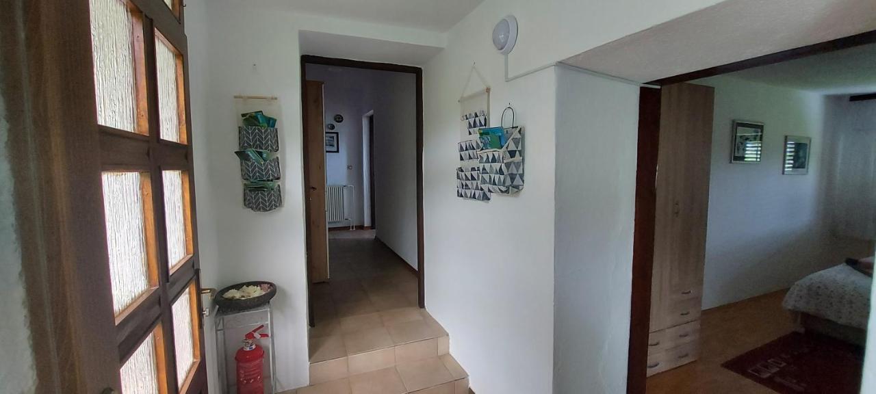Apartma Pr' Ivani Miskorinovi Breginj Dış mekan fotoğraf
