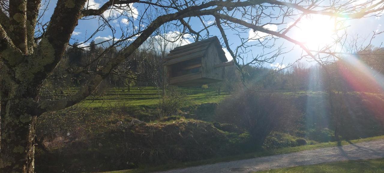 Apartma Pr' Ivani Miskorinovi Breginj Dış mekan fotoğraf