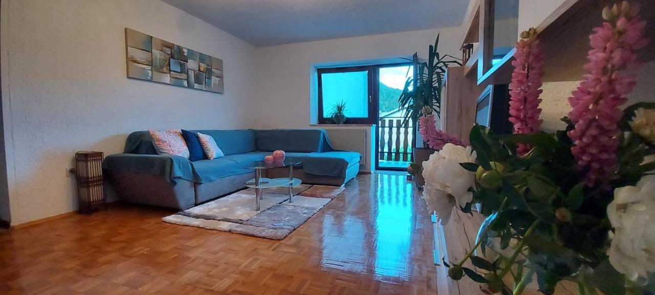 Apartma Pr' Ivani Miskorinovi Breginj Dış mekan fotoğraf