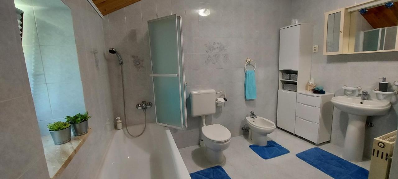 Apartma Pr' Ivani Miskorinovi Breginj Dış mekan fotoğraf